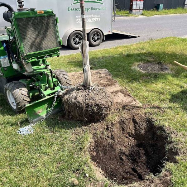 Services dessouchage
